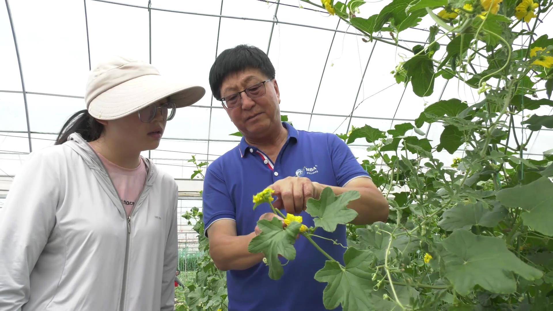 北京大学现代农业研究院副院长张兴平：链接起土地与科技 架起农民增收致富桥梁