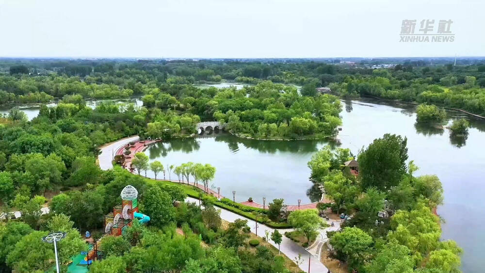 新华社聚焦潍坊：白浪绿洲 多彩湿地