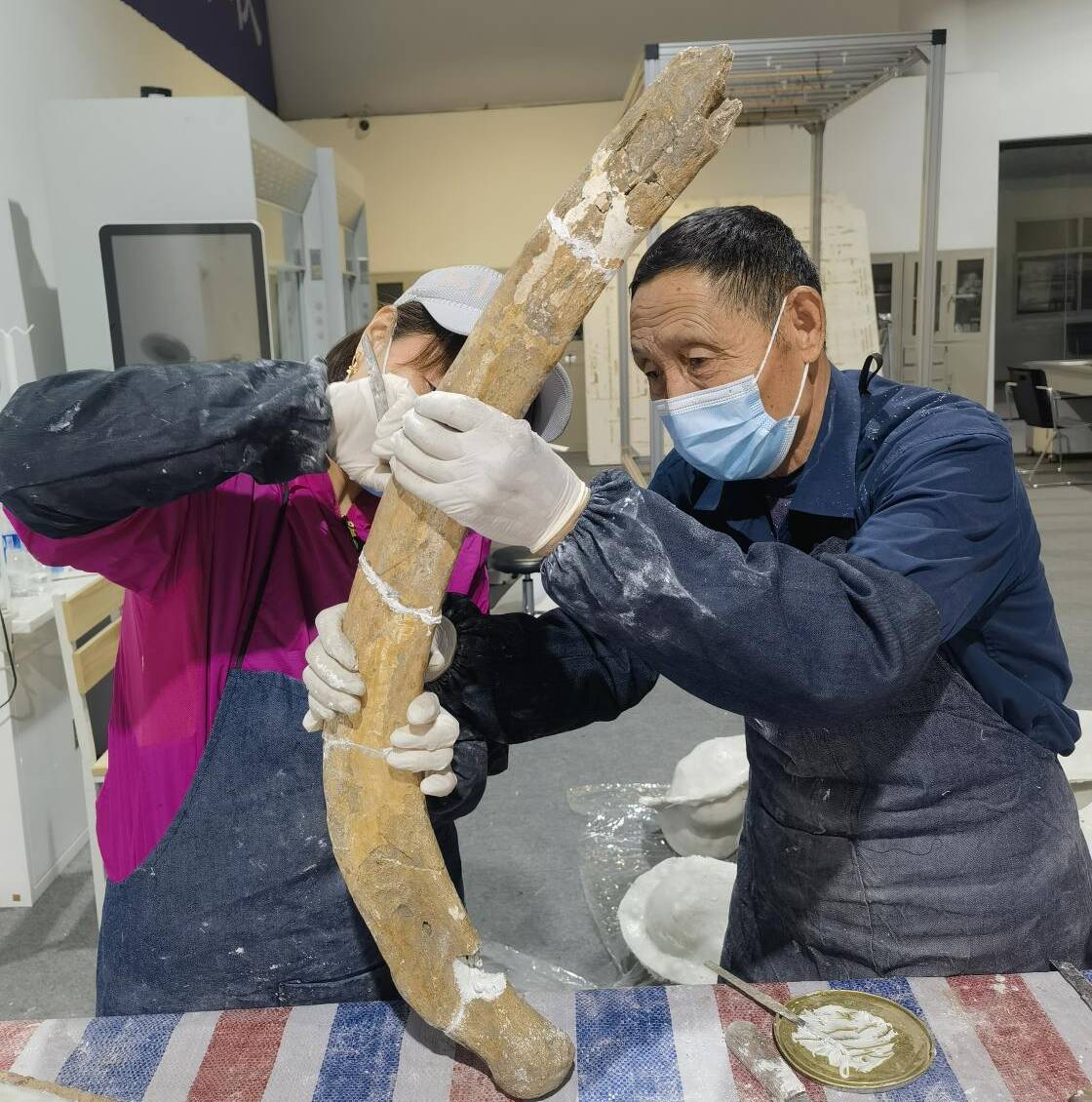 沉睡万年的“潍坊象”即将绽放新活力