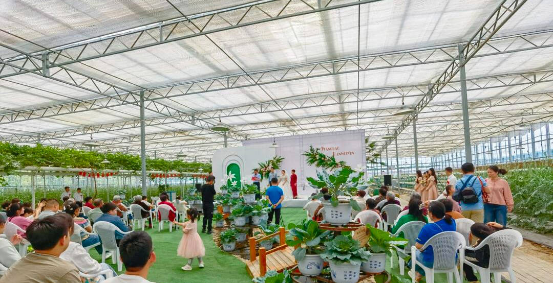 潍坊昌乐：智慧大棚变身婚礼礼堂