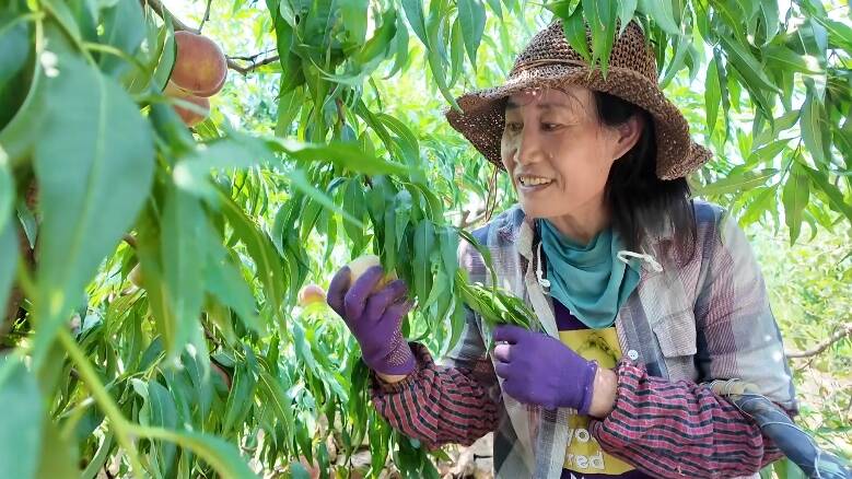 潍坊临朐：示范片区擦亮“大美嵩山”农文旅融合名片 好品、好景激活乡村振兴新动能