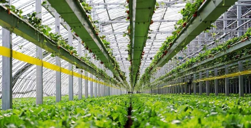 潍坊发布第二批10个数字农业典型应用场景 为农业延伸发展开辟新空间